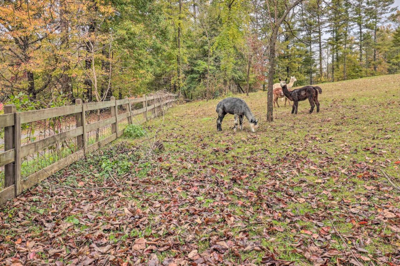Rustic Hendersonville Farm Studio With Private Deck Eksteriør bilde