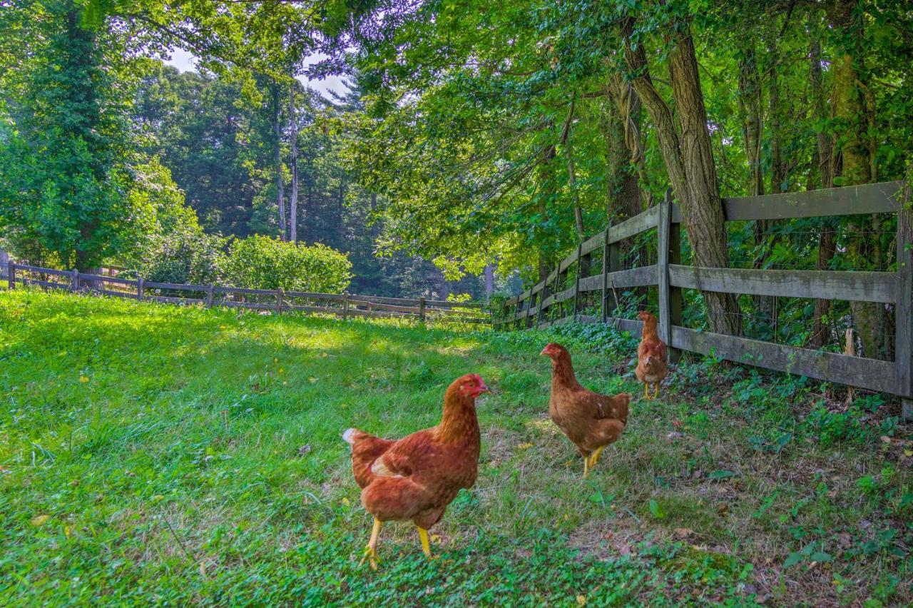 Rustic Hendersonville Farm Studio With Private Deck Eksteriør bilde