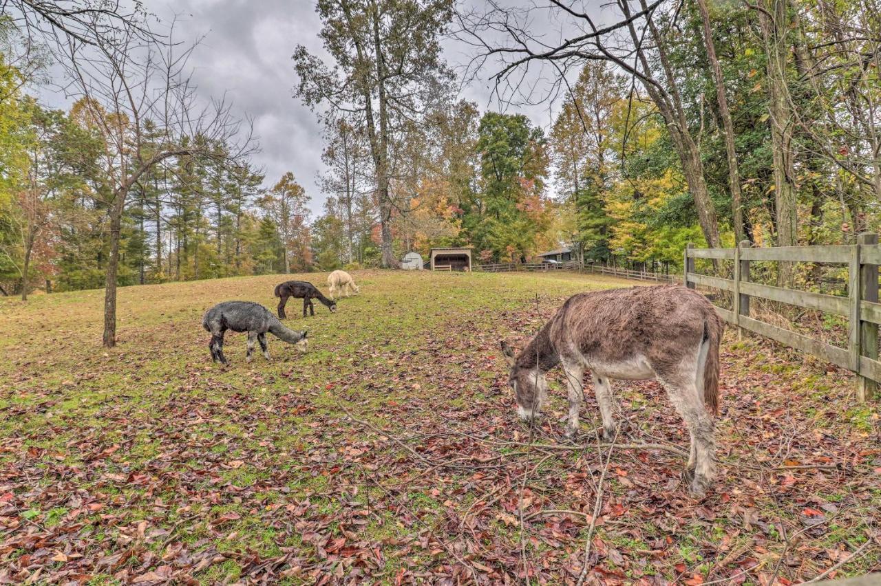 Rustic Hendersonville Farm Studio With Private Deck Eksteriør bilde