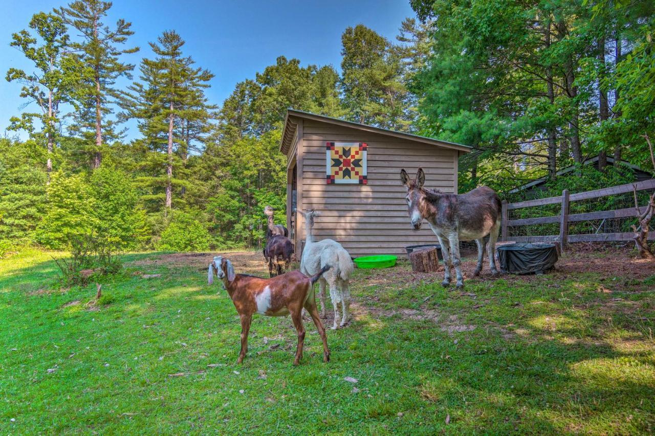 Rustic Hendersonville Farm Studio With Private Deck Eksteriør bilde